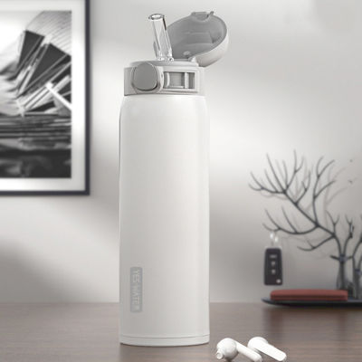 Boisson directe 500 ml Coupe isolante en acier inoxydable avec paille autonome 2022